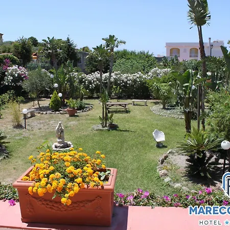 Mareco Forio di Ischia
